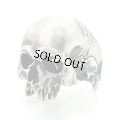 スカルリング/Evolution I Aging / ブラインドラビット