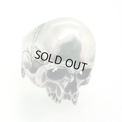 スカルリング/Evolution I Aging / ブラインドラビット