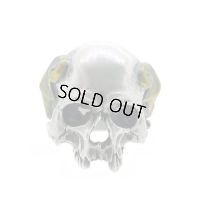 スカルリング/Evolution I Aging Fortis / BLIND RABBIT（ブラインドラビット）