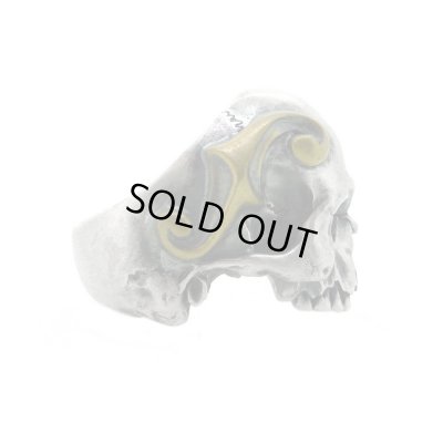 スカルリング/Evolution I Aging Fortis / BLIND RABBIT（ブラインドラビット）