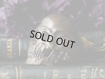 [スカルリング]ラージタナトスリング２（ブラス）/Quetzal（ケツァール）