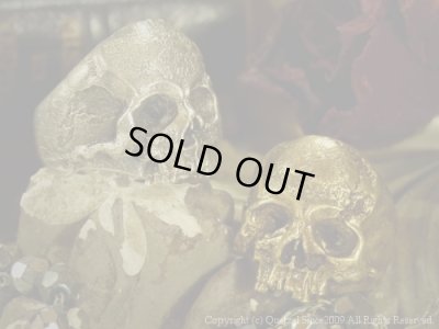 [スカルリング]ヴァニタスリング（ブラス）/Quetzal （ケツァール）