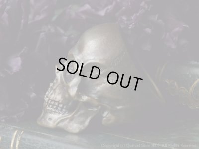 [スカルリング]ラージタナトスリング２（ブラス）/Quetzal（ケツァール）