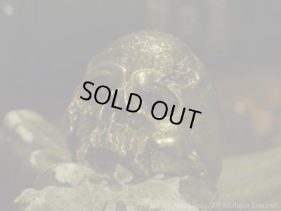 [スカルリング]ヴァニタスリング（ブラス）/Quetzal （ケツァール）