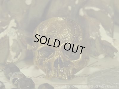 [スカルリング]ヴァニタスリング（ブラス）/Quetzal （ケツァール）