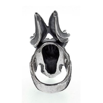 天涯 アニマ エグジスツ イン オール クリエーション