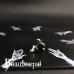 [毒瓶ピアス]Venom｜Beautesque（ビュウテスク）