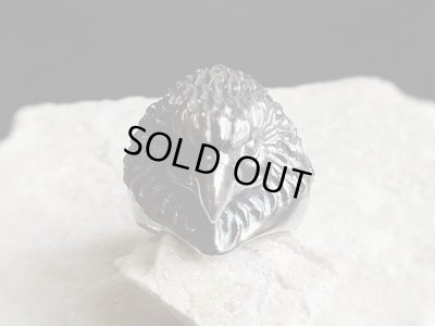 【猛禽類 鷹リング】Raptor｜gush（ガッシュ）