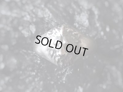 【ライオンリング】Small Lion｜gush（ガッシュ）