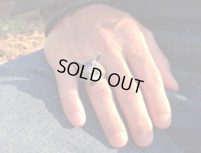 【猫リング】Cait Sith has CZ Yellow Eyes｜gush（ガッシュ）