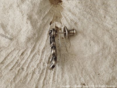 【唐草/アラベスク】ブラーゼンピアス(シルバー)/Quetzal(ケツァール)