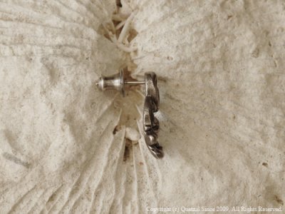 【唐草/アラベスク】ブラーゼンピアス(シルバー)/Quetzal(ケツァール)