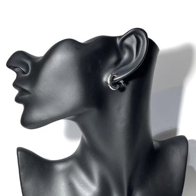 【ハワイアンジュエリー】 シルバー925 トロピカルフープピアス