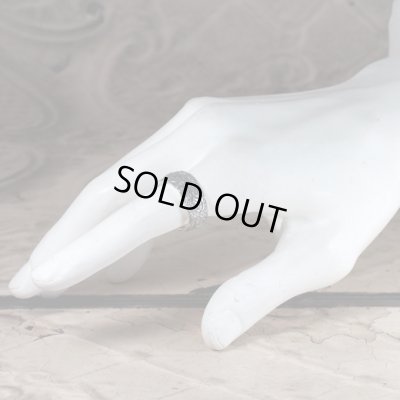 Acanthus（アカンサス）｜Guardia/ガルディア