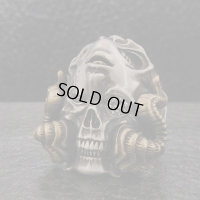 ブラインドラビット/[スカルリング]FANATIC BELIEVER Invert