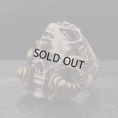 ブラインドラビット/[スカルリング]FANATIC BELIEVER Invert