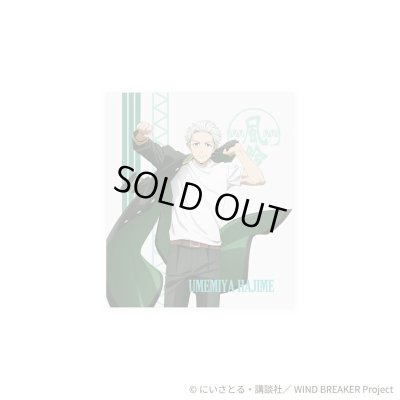 WIND BREAKER(ウィンドブレイカー) 梅宮一 ブレスレット ステンレス 公式グッズ