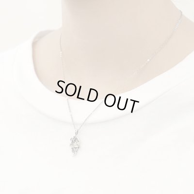 【ツイステ グッズ】『ディズニー ツイステッドワンダーランド』グッズ「サバナクロー寮」棺型 シルバーネックレス TWISTED-WONDERLAND レオナ・キングスカラー