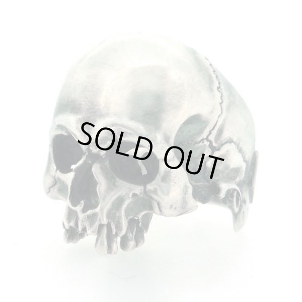 スカルリング/Evolution I Aging / ブラインドラビット