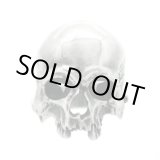 画像: ブラインドラビット/[スカルリング]Evolution I Aging/BLIND RABBIT