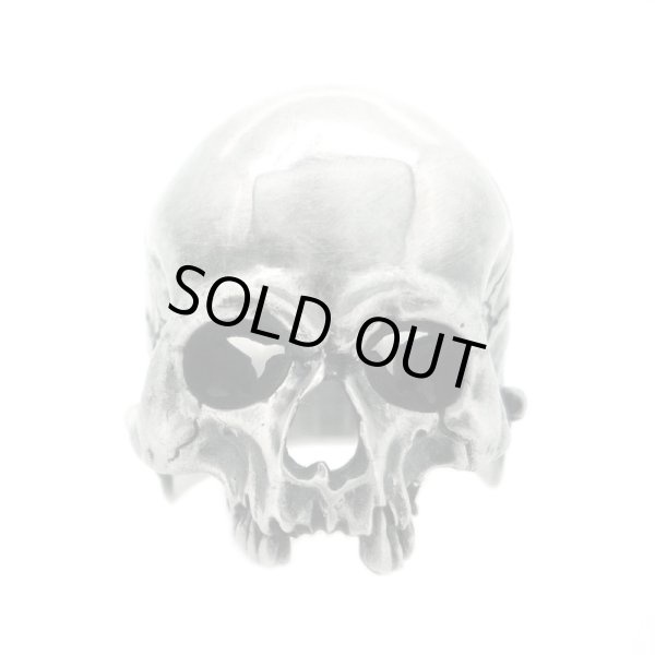 スカルリング/Evolution I Aging / ブラインドラビット