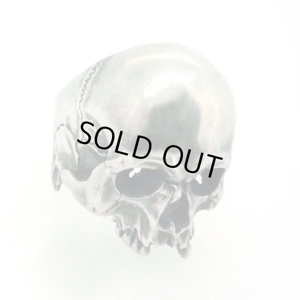 スカルリング/Evolution I Aging / ブラインドラビット