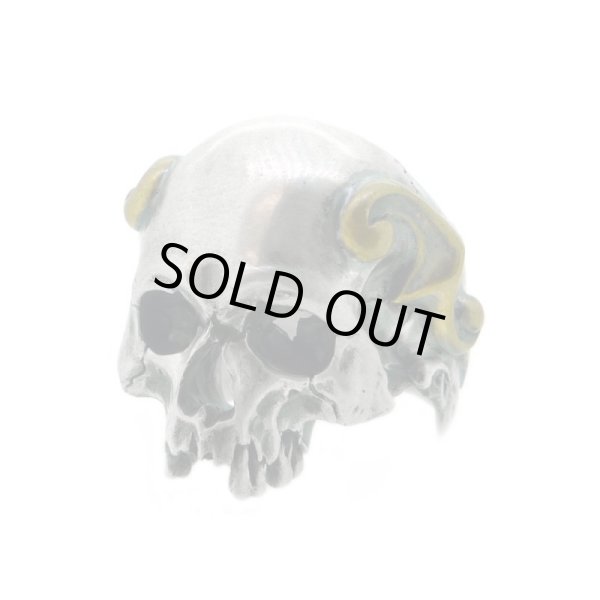 スカルリング/Evolution I Aging Fortis / BLIND RABBIT（ブラインドラビット）