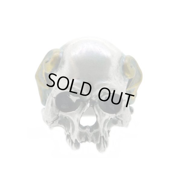 スカルリング/Evolution I Aging Fortis / BLIND RABBIT（ブラインドラビット）