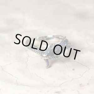 画像: ガルディア/Baby Ouroboros（ベビーウロボロス）