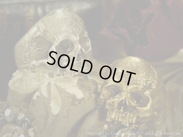 [スカルリング]ヴァニタスリング（ブラス）/Quetzal （ケツァール）