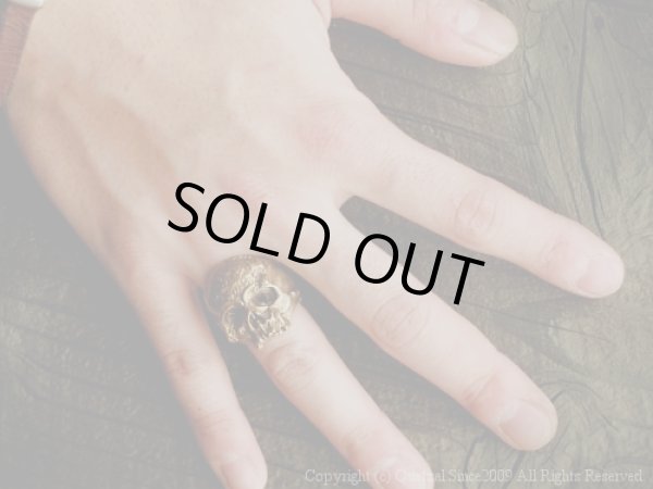 [スカルリング]ヴァニタスリング（ブラス）/Quetzal （ケツァール）