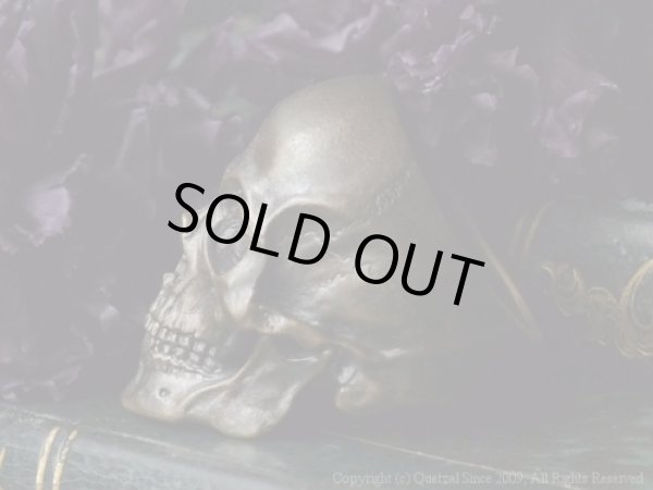 [スカルリング]ラージタナトスリング２（ブラス）/Quetzal（ケツァール）