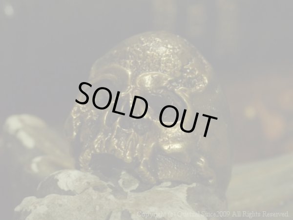 [スカルリング]ヴァニタスリング（ブラス）/Quetzal （ケツァール）