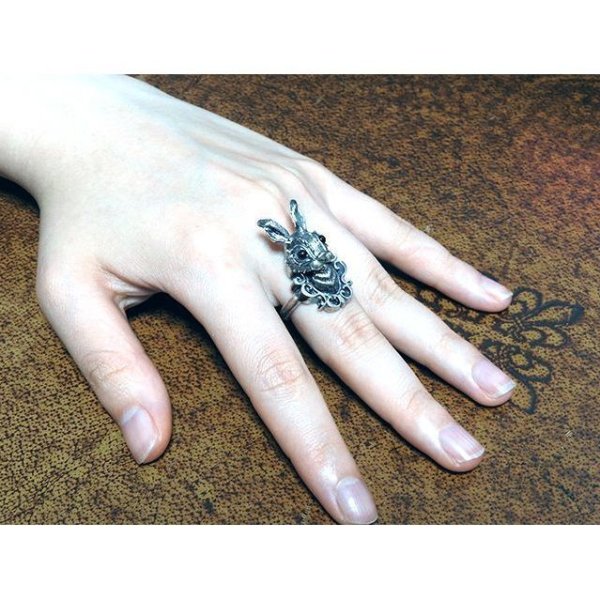 ウサギのアカメ｜anima exists in all creation（アニマ エグジスツ イン オール クリエーション）