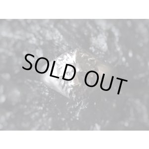 画像: ガッシュ/【ライオン シルバーリング】Small Lion｜gush