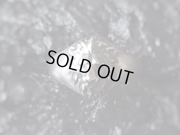 【ライオンリング】Small Lion｜gush（ガッシュ）