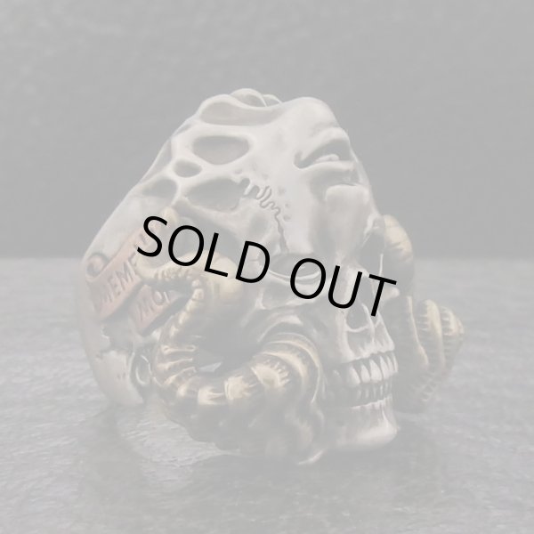 ブラインドラビット/[スカルリング]FANATIC BELIEVER Invert