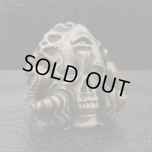 画像: ブラインドラビット/[スカルリング]FANATIC BELIEVER Invert/BLIND RABBIT