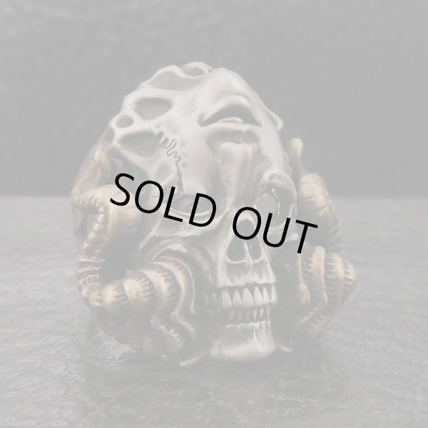 ブラインドラビット/[スカルリング]FANATIC BELIEVER Invert