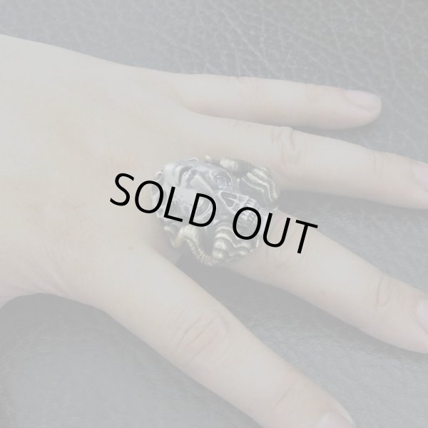 ブラインドラビット/[スカルリング]FANATIC BELIEVER Invert