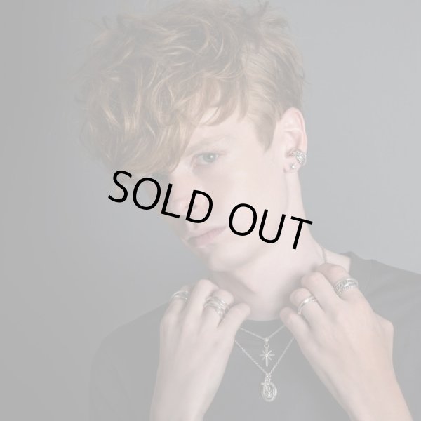 スターダストピアス/アルテミスキングス/ARTEMIS KINGS