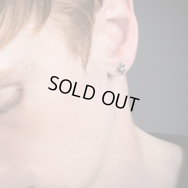 スターダストピアス/アルテミスキングス/ARTEMIS KINGS