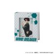 WIND BREAKER(ウィンドブレイカー) 蘇枋隼飛 ネックレス シルバー 公式グッズ