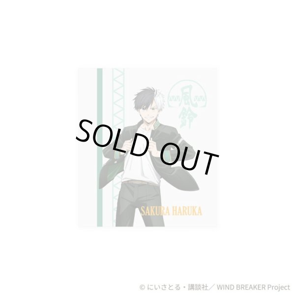 WIND BREAKER(ウィンドブレイカー) 桜遥 リング シルバー 公式グッズ