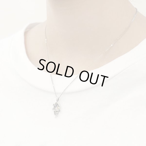 【ツイステ グッズ】『ディズニー ツイステッドワンダーランド』グッズ「サバナクロー寮」棺型 シルバーネックレス TWISTED-WONDERLAND レオナ・キングスカラー